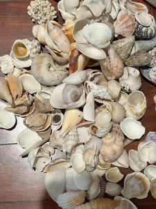 Shells