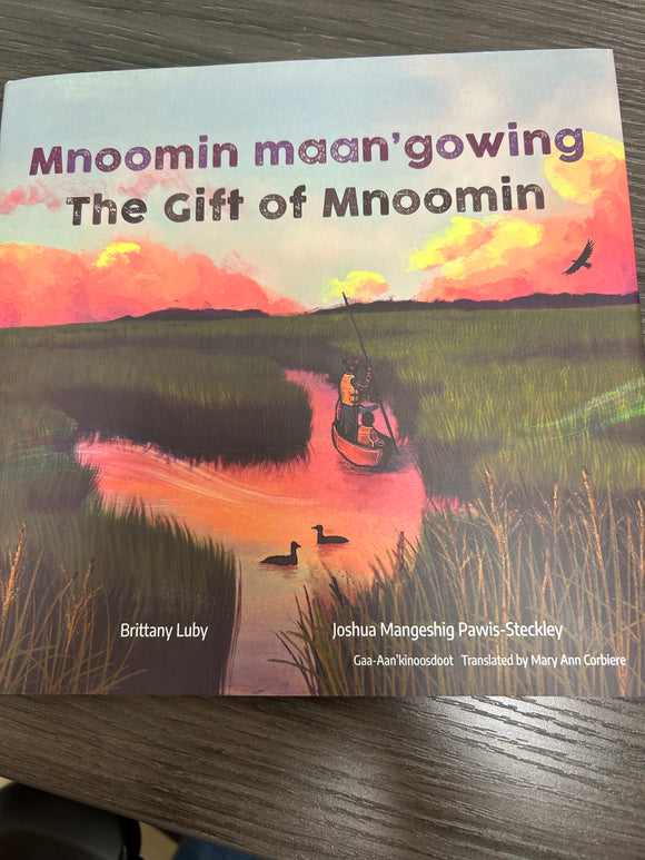 Mnoomin Maan'gowing the gift of Mnoomin