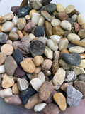 Stones/ Pebbles - Polished - Tiny