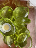 Gems - Glass - Large - Coloured