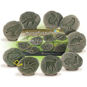 Woodland Footprints