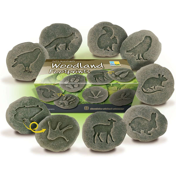 Woodland Footprints