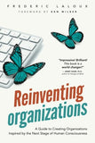 Reinventing Organizations: An Illustrated Invitation to Join the Conversation on Next-Stage Organizations
