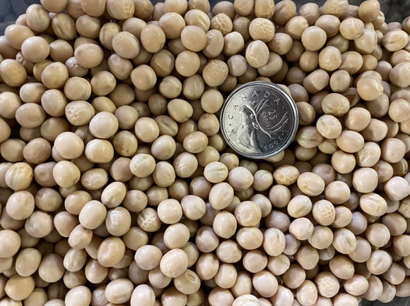 Soybeans