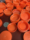 Lids - Plastic - Juice - Orange