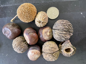 Nuts and Seeds