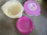 Containers with Lids - Plastic - Left Overs