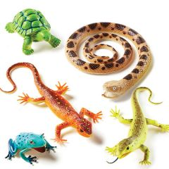 Jumbo Reptiles And Amphibians