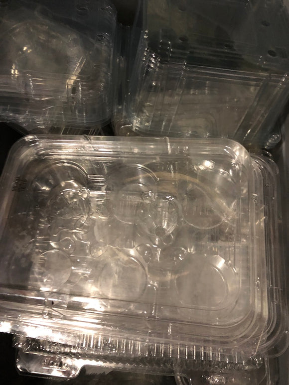 Tray - Plastic - with Sections - Clear