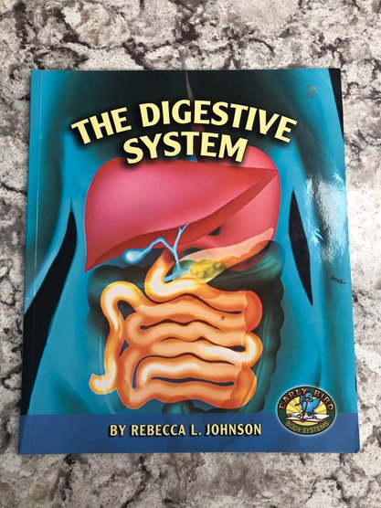 The Digestive System