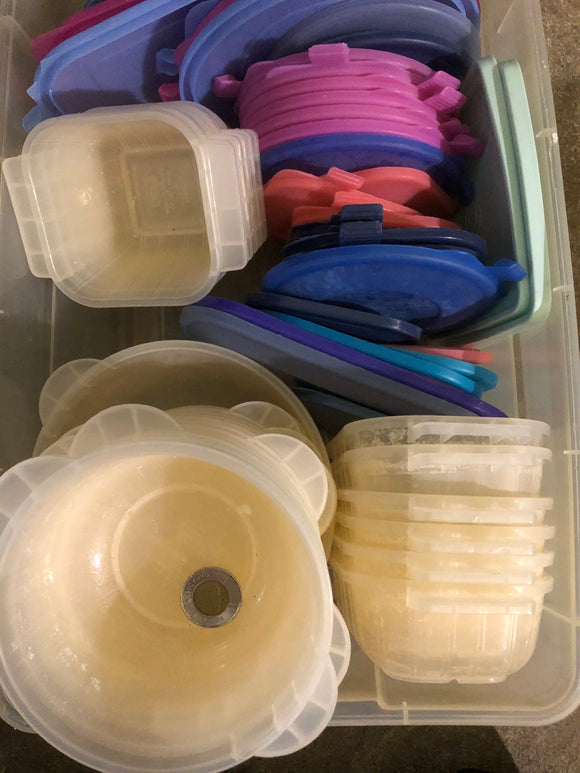 Containers with Lids - Plastic - Left Overs