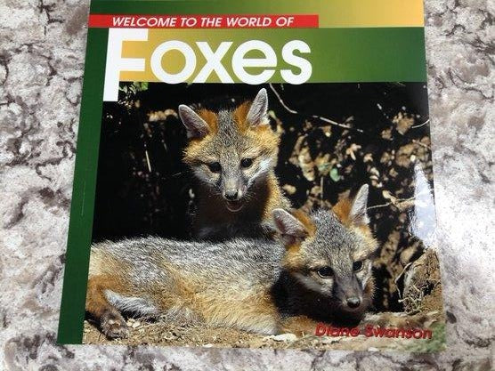 Welcome To The World Of Foxes