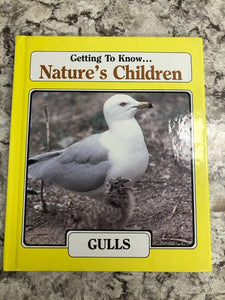 Gulls