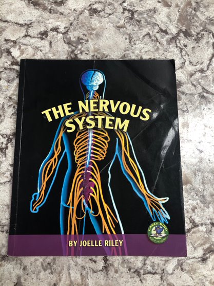 The Nervous System