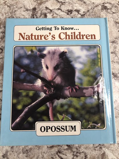 Opossum