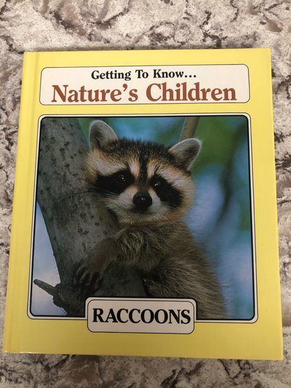 Raccoons