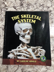 The Skeletal System