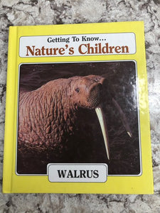 Walrus