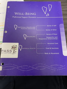 Well-Beings Professional Support Document