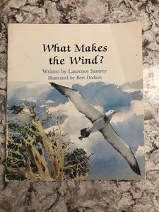 What Makes The Wind