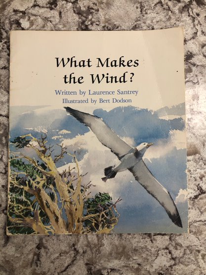 What Makes The Wind